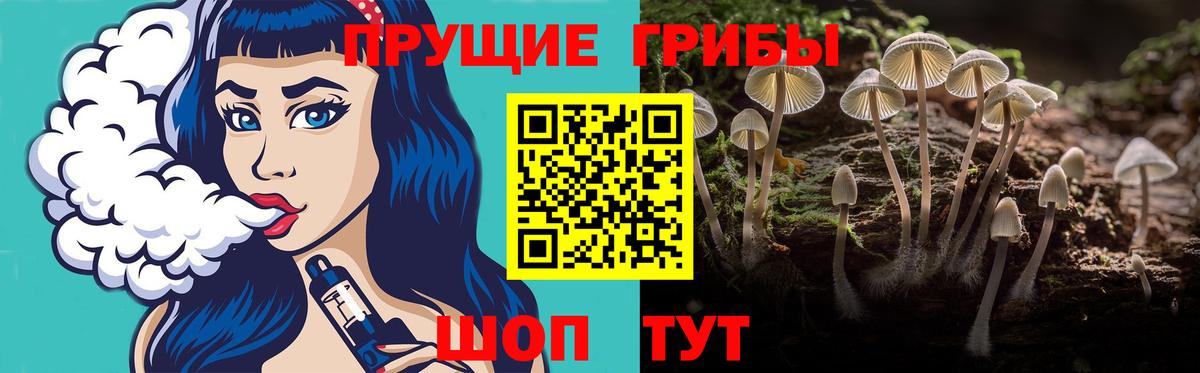 Выкса  Галлюциногенные грибы Psilocybe  Вход с VPN 